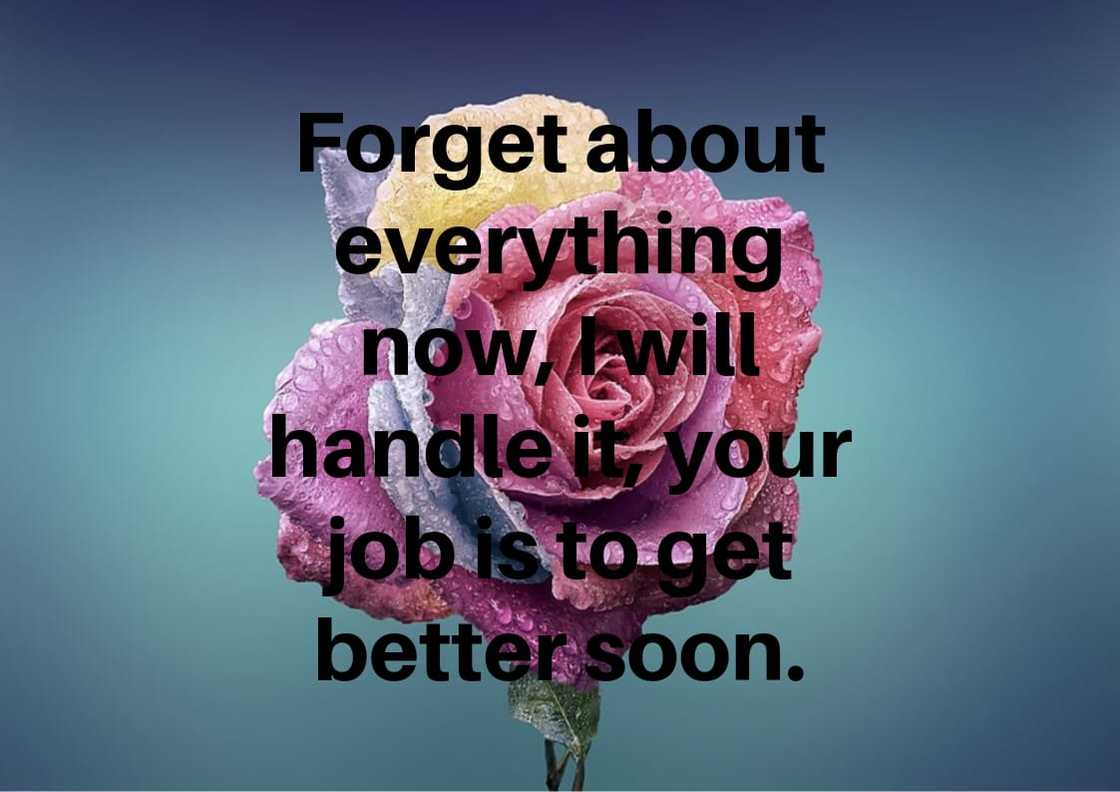 100+ get well soon messages, quotes and wishes for your loved ones 100+ get well soon messages, quotes and wishes for your loved ones