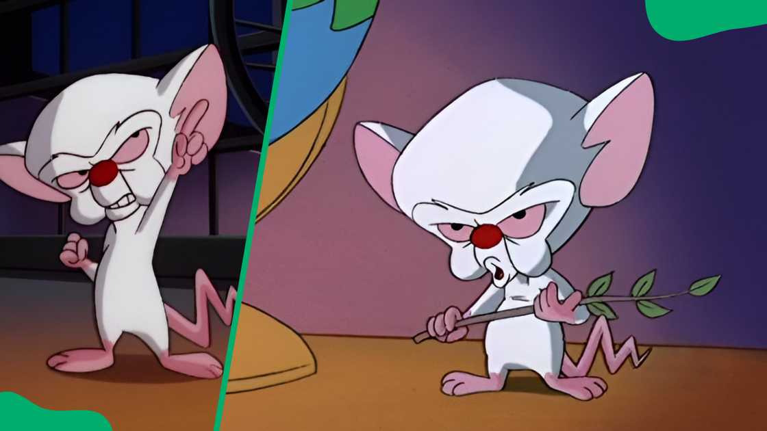 Large-headed cartoon characters from the 90s Large-headed cartoon characters from the 90s