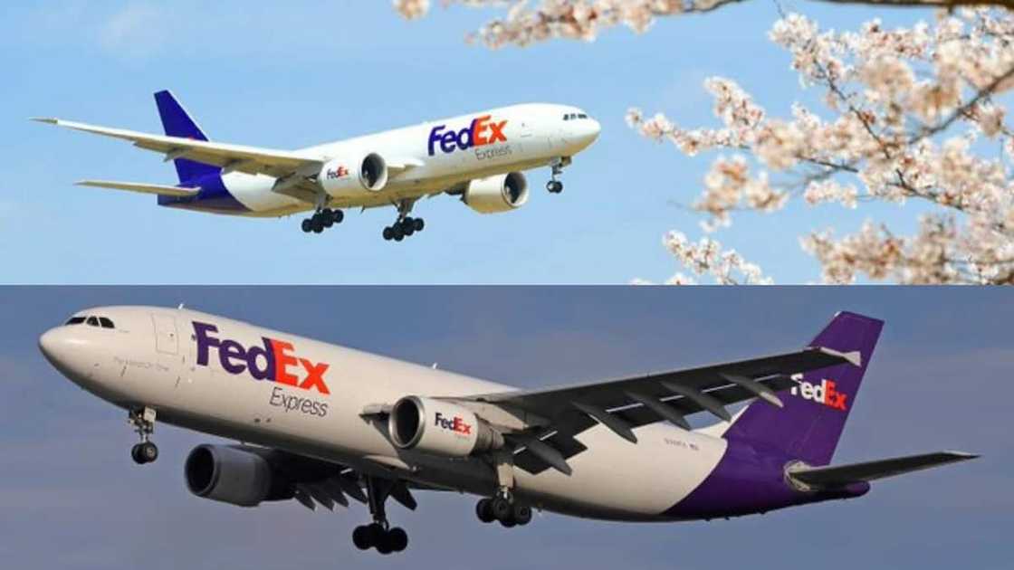 FedEx's contact number FedEx's contact number