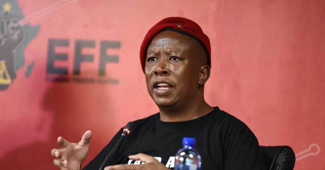 Sizwe Dhlomo Thinks Julius Malema Has the Right Stuff as Opposition Leader