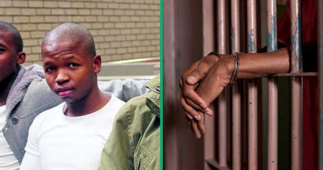 Collage image of Siphesihle Tatsi and black youth in prison Collage image of Siphesihle Tatsi and black youth in prison