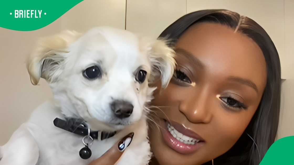 A woman's dog intrigues with its dance moves