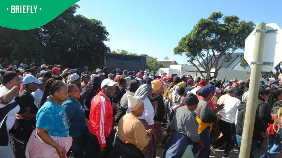 protest protest