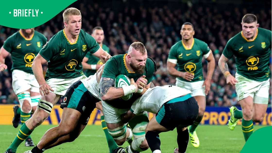 Springboks, South Africa, RG Snyman, Ireland Springboks, South Africa, RG Snyman, Ireland