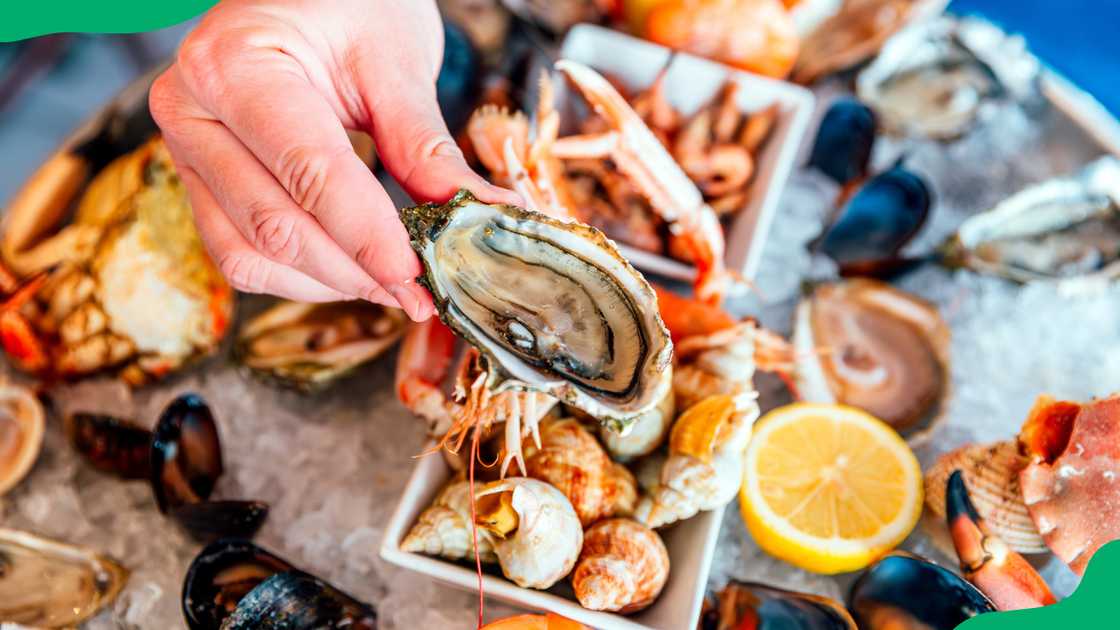Restaurants in Plettenberg Bay