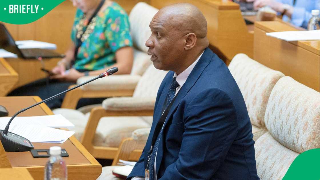 Cedrick Nkabinde also reportedly received a text from Paul O’Sullivan Cedrick Nkabinde also reportedly received a text from Paul O’Sullivan