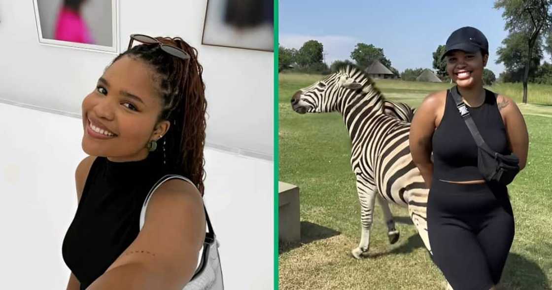 A TikTok video shows a woman being kicked by a zebra. A TikTok video shows a woman being kicked by a zebra.