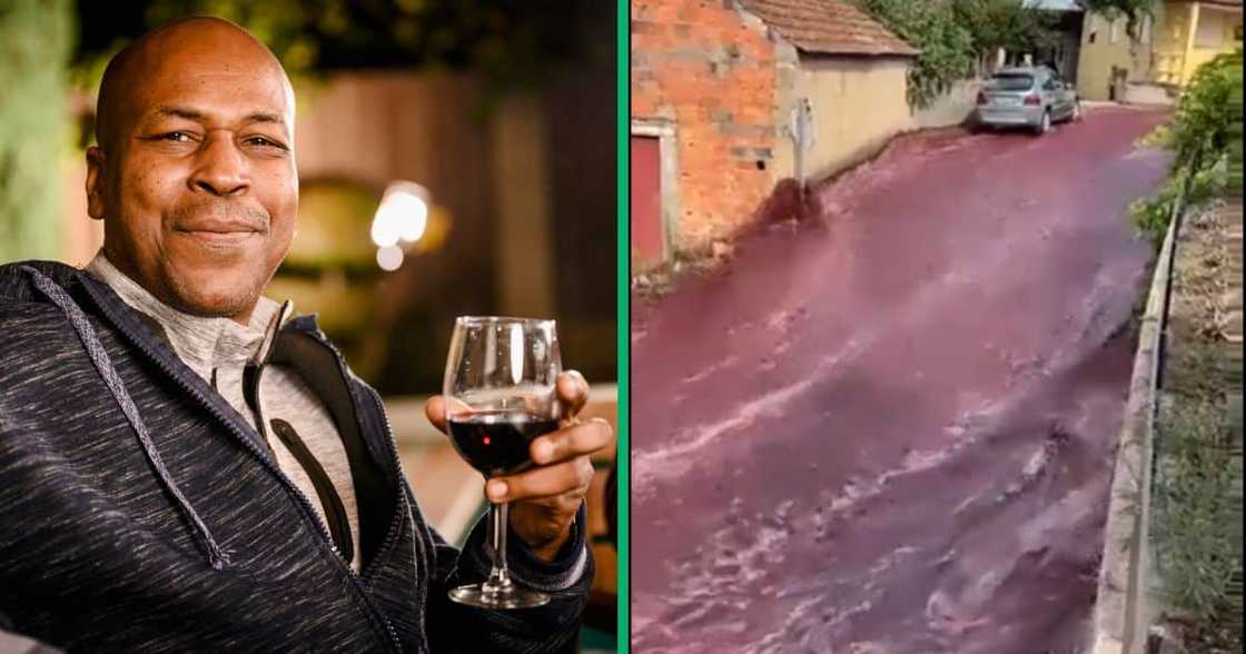 South Africans react to the wine flood South Africans react to the wine flood