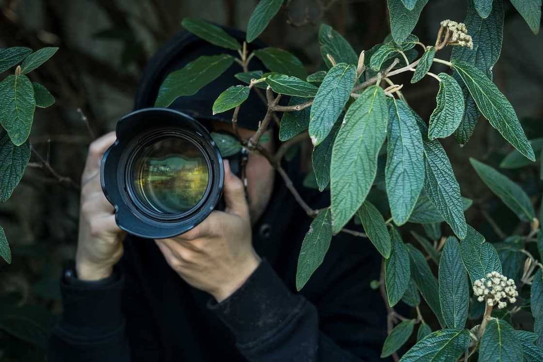 Private investigators in Joburg Private investigators in Joburg