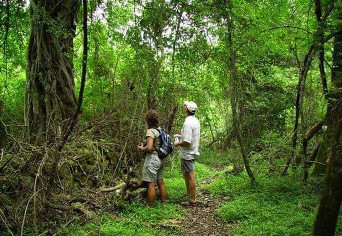 Hiking trails and walking trails South Africa Hiking trails and walking trails South Africa