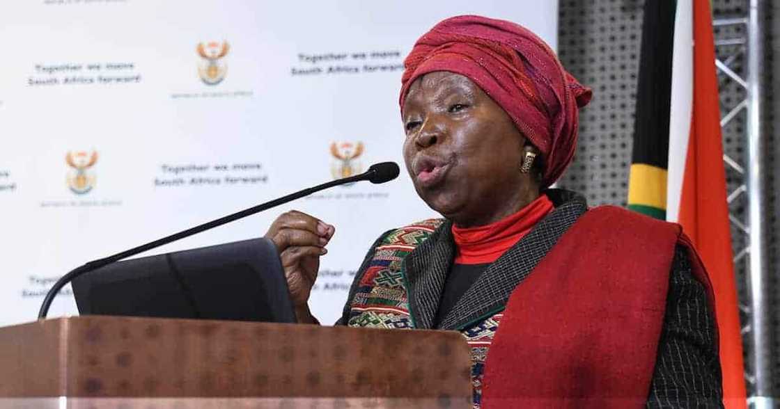 coronavirus coronavirus