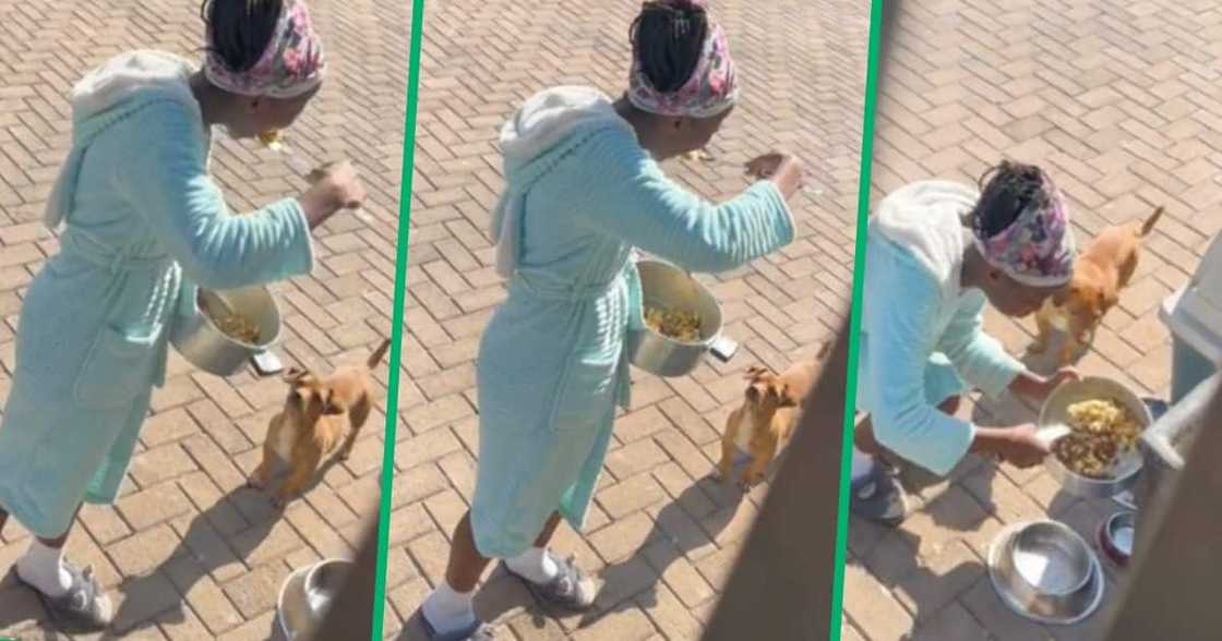 A young girl eats leftover food meant for her dog