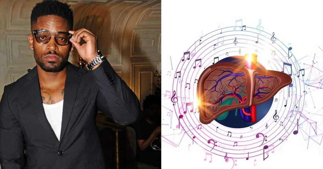 artwork, prince kaybee, fan artwork, prince kaybee, fan