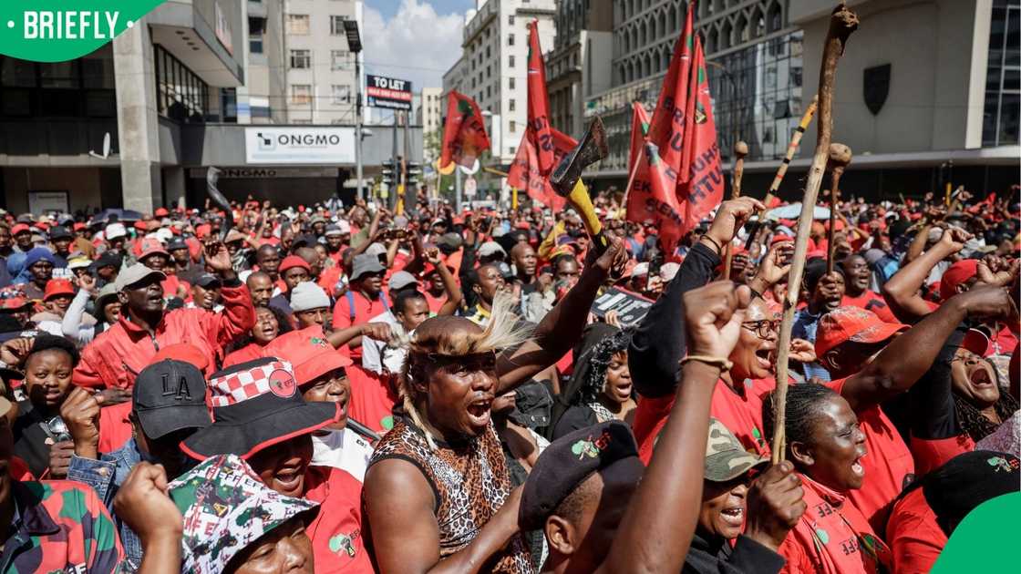 Fikile Mbalula alleged that EFF members conducted door-to-door campaigns