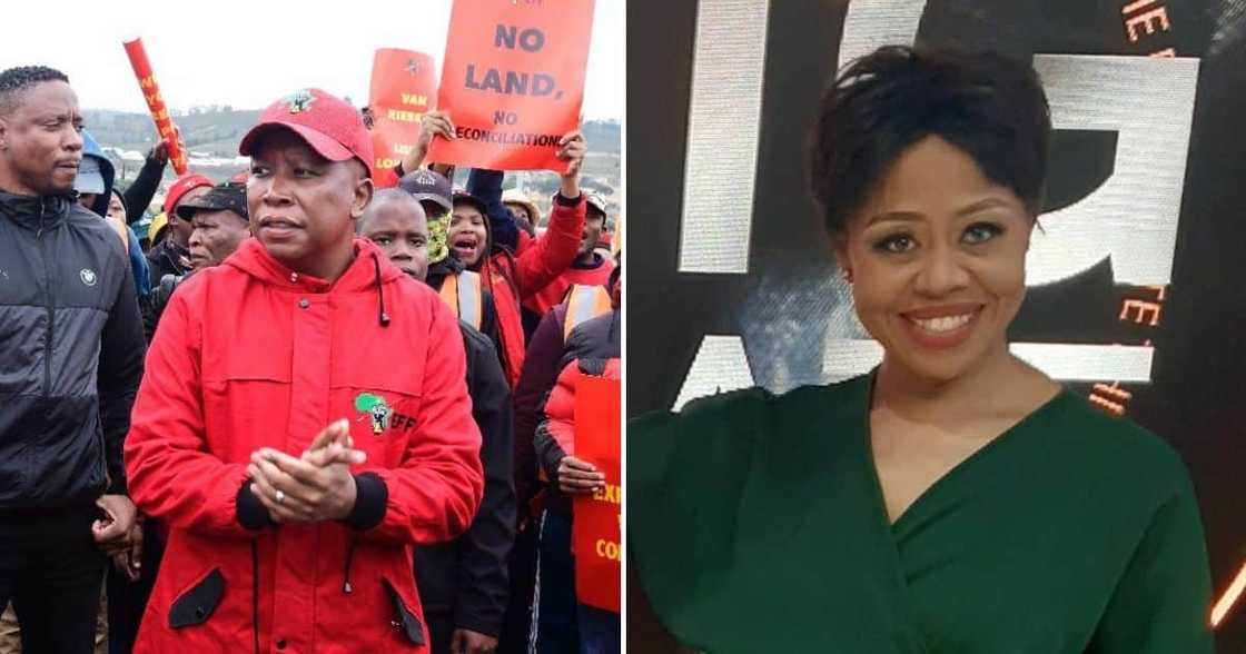 Redi Thlabi, fires shots, EFF, wine, Mzansi can't deal, Johann Rupert farms, wine, Stellenbosch, Mpumalanga Redi Thlabi, fires shots, EFF, wine, Mzansi can't deal, Johann Rupert farms, wine, Stellenbosch, Mpumalanga