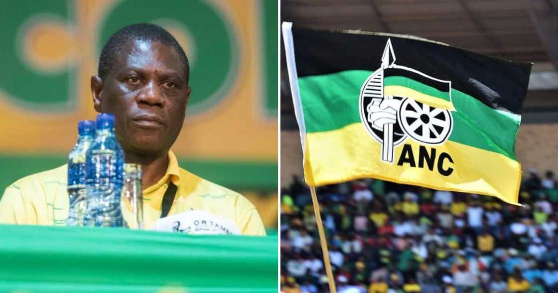 Paul Mashatile is being accused of intentionally misleading the North West High Court Paul Mashatile is being accused of intentionally misleading the North West High Court