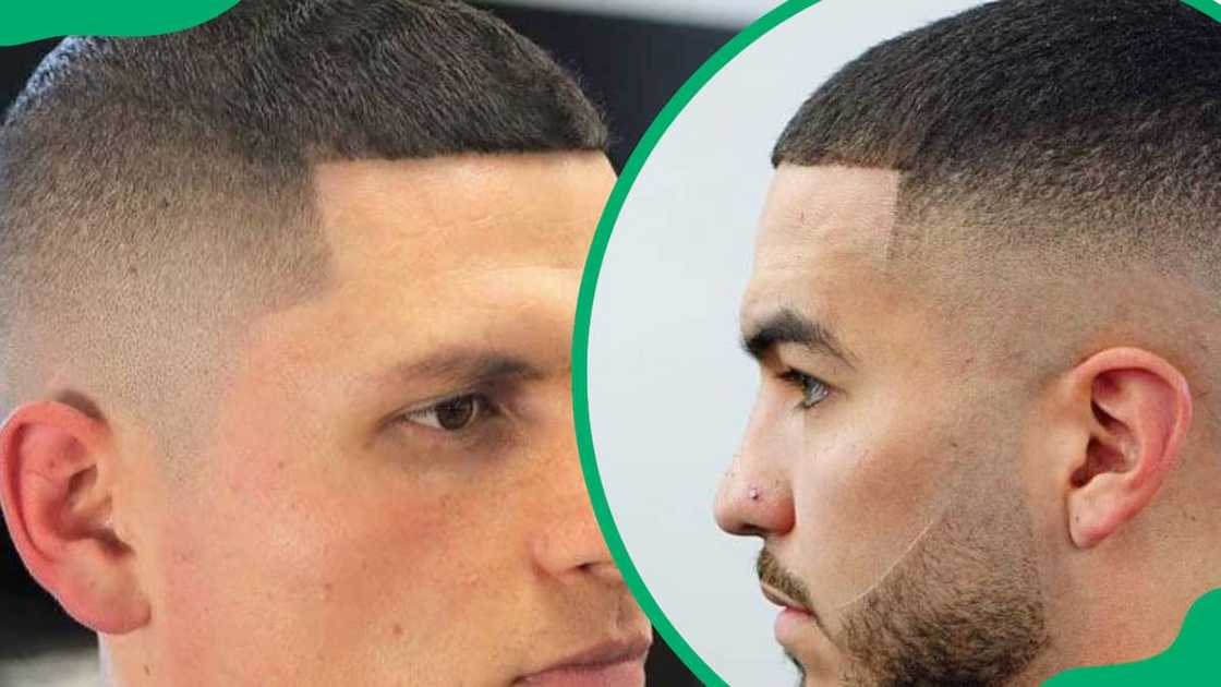 Buzz cut Buzz cut