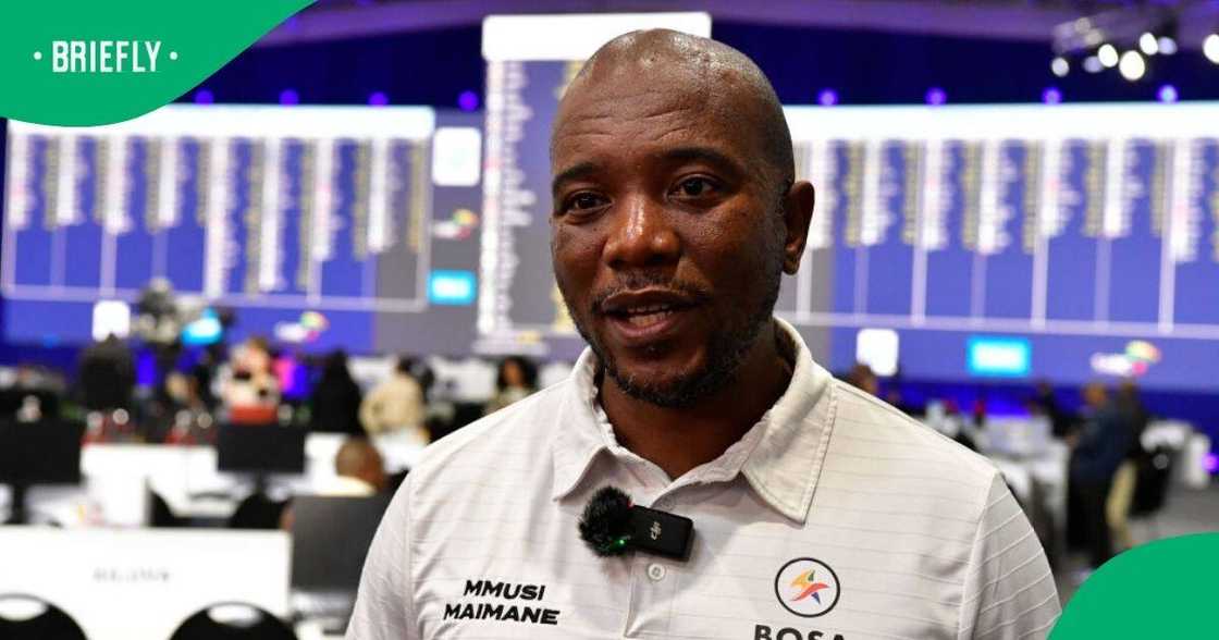Mmusi Maimane called on political parties to convene before a government is elected Mmusi Maimane called on political parties to convene before a government is elected