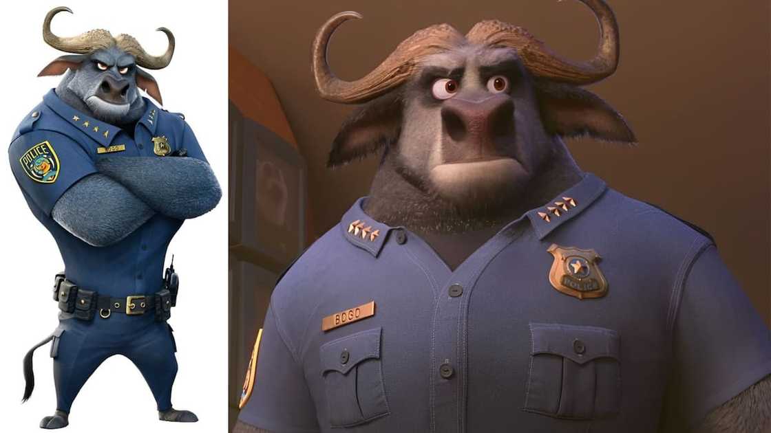 Chief Bogo from Disney's Zootopia Chief Bogo from Disney's Zootopia