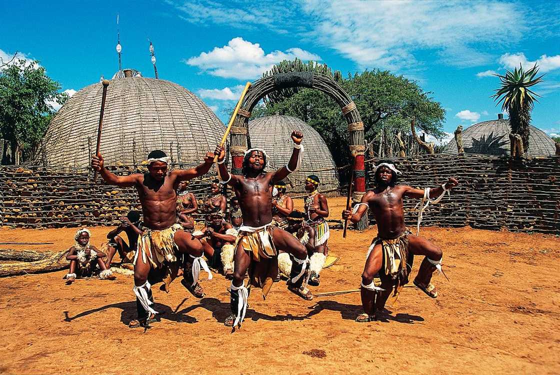 isiZulu is South Africa's most spoken African language