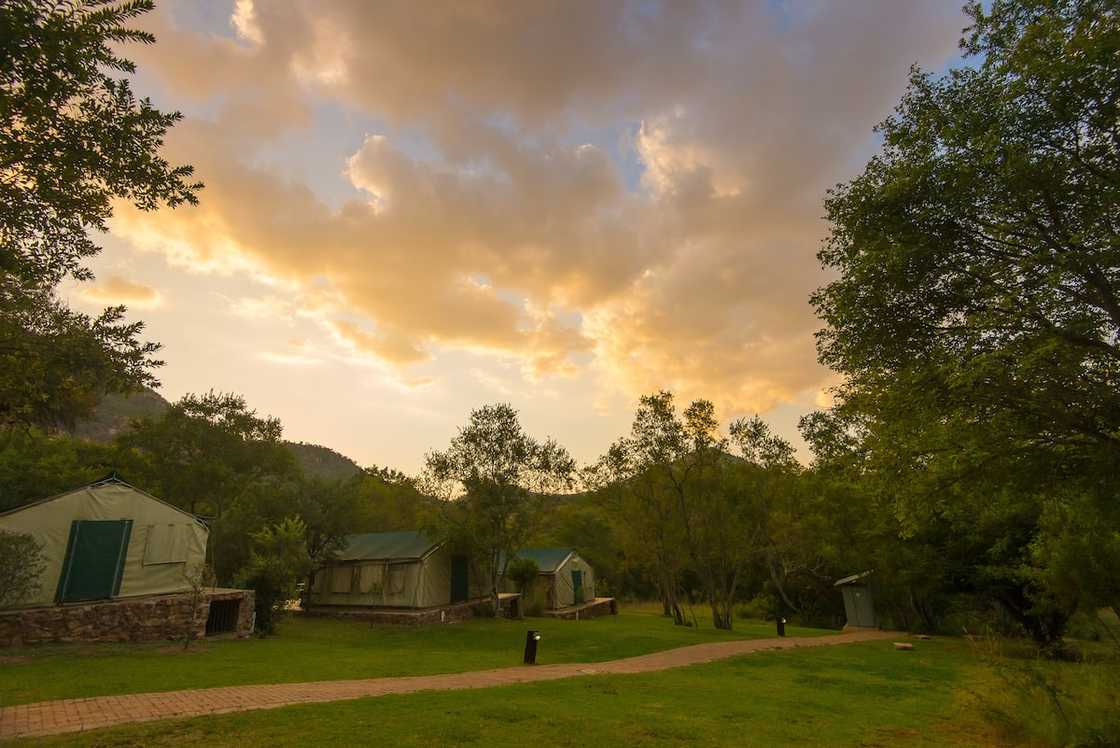 camping spots in Gauteng camping spots in Gauteng
