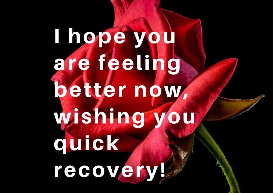 100+ get well soon messages, quotes and wishes for your loved ones