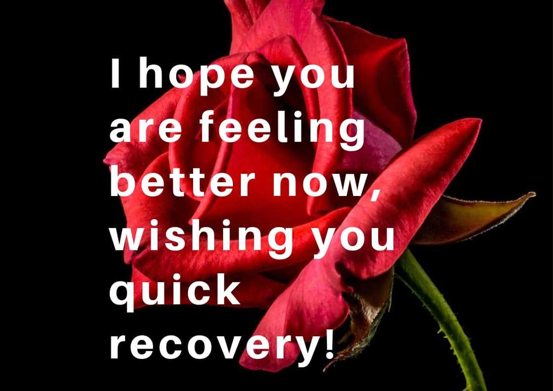 100+ get well soon messages, quotes and wishes for your loved ones 100+ get well soon messages, quotes and wishes for your loved ones