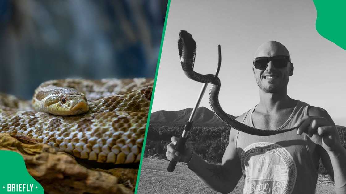 A post went viral. A post went viral.