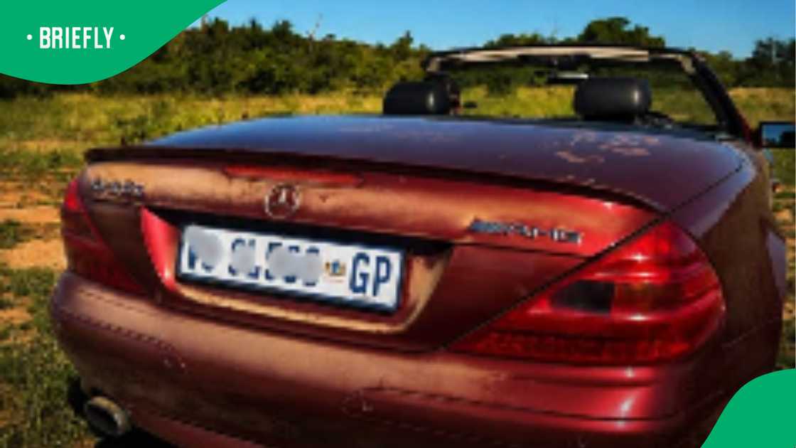 Kruger National Park’s reckless driver doubles down after SA rejects apology