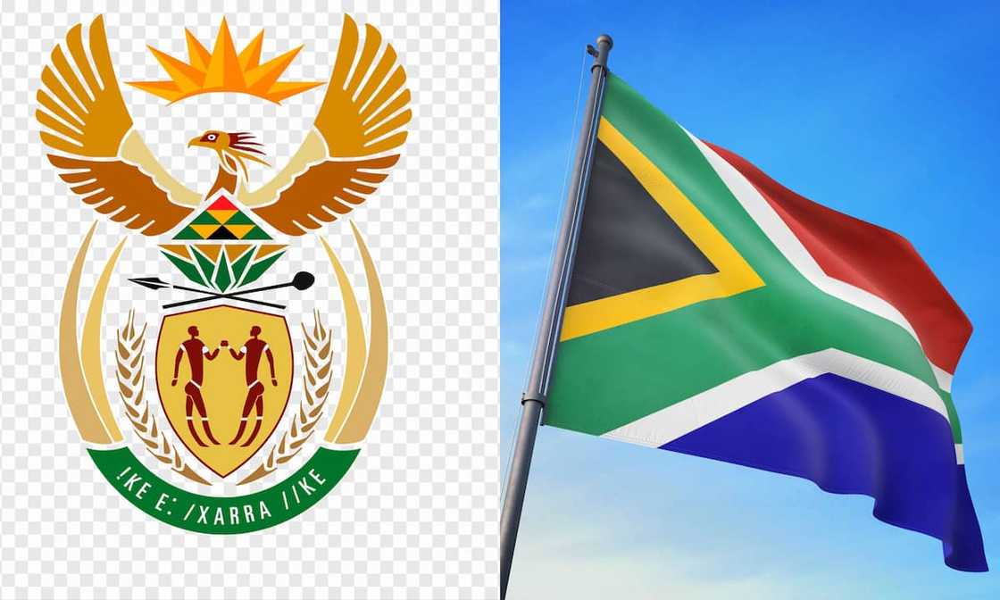 South African coat of arms meaning of symbols South African coat of arms meaning of symbols