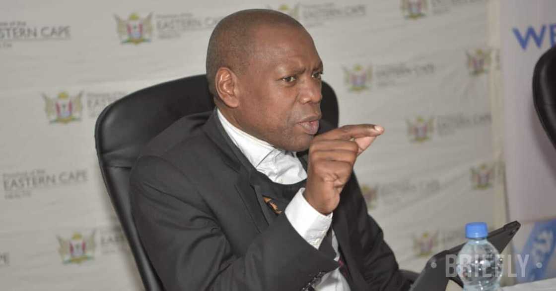 coronavirus coronavirus