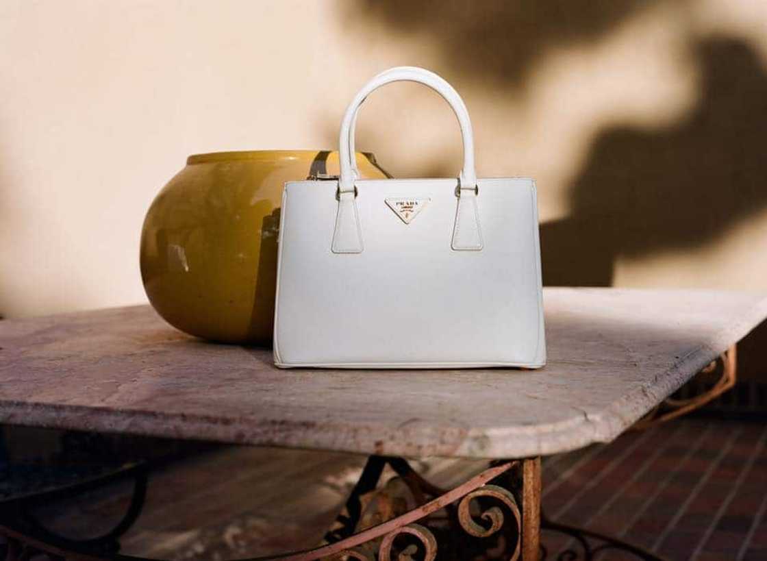 Top 15 luxury handbag brands in the world - Briefly.co.za