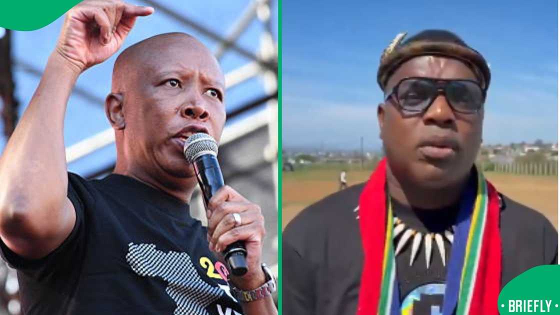 Malema and Mchunu