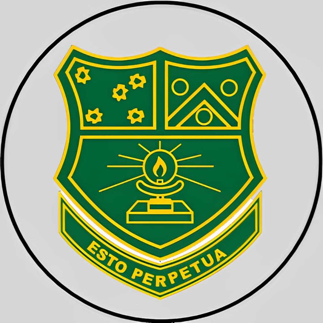 top schools in Gauteng top schools in Gauteng