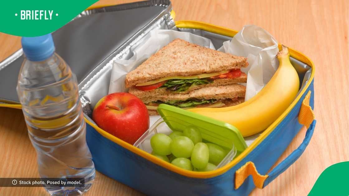 Suggested school lunch Suggested school lunch