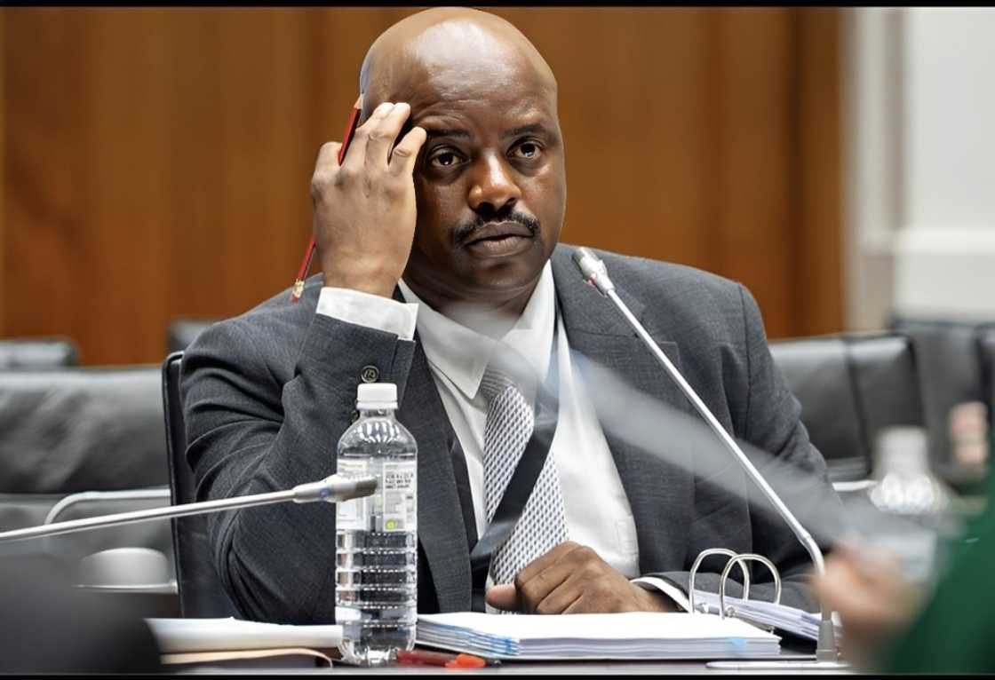 Julius Mkhwanazi was arrested and is facing charges of fraud, corruption and defeating the ends of justice Julius Mkhwanazi was arrested and is facing charges of fraud, corruption and defeating the ends of justice