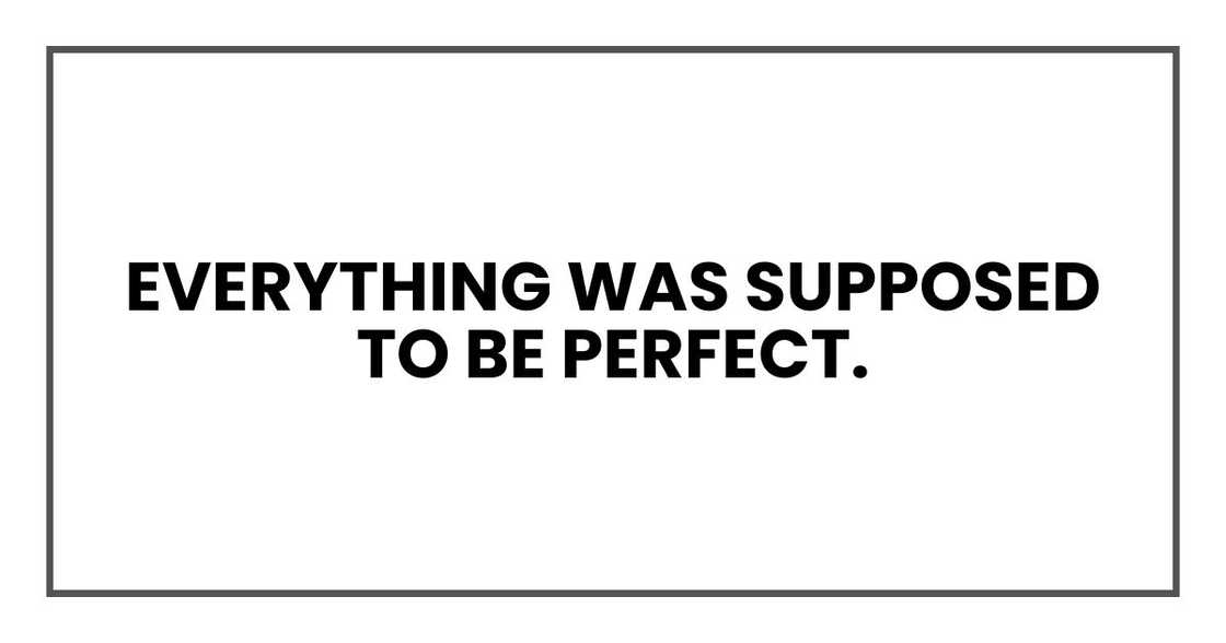 Everything was supposed to be perfect.