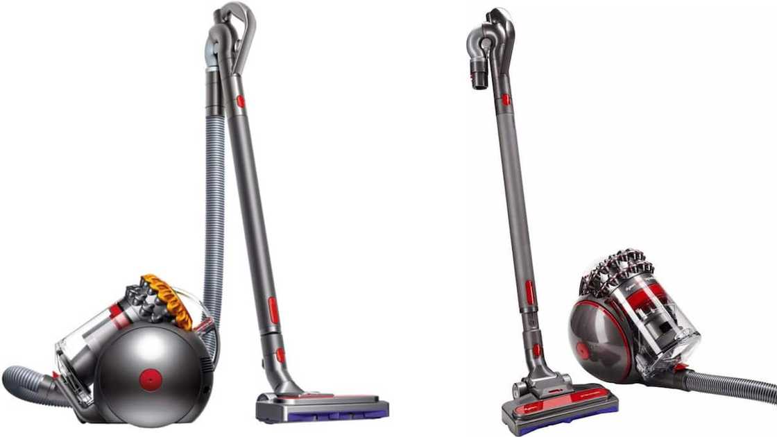 The Dyson Cinetic Big ball AnimalPro 2 The Dyson Cinetic Big ball AnimalPro 2