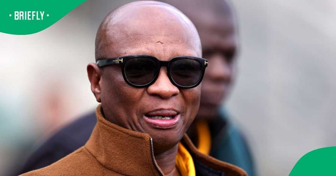 Zizi Kodwa resigned as a Member of Parliament