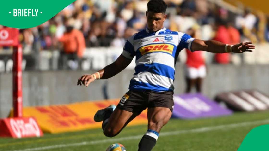 Sacha Feinberg-Mngomezulu, Springboks, South Africa