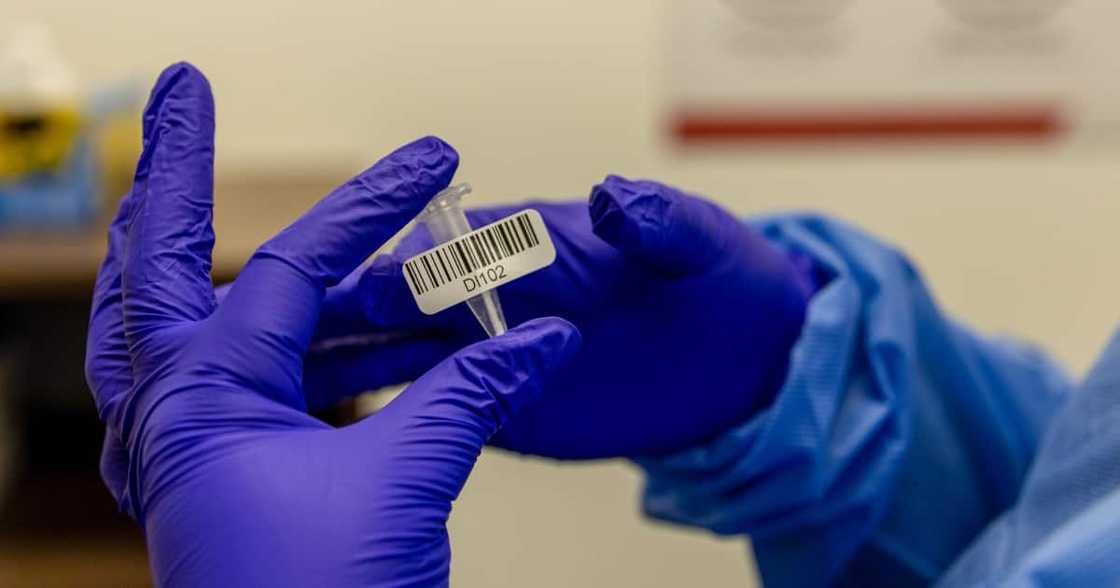 Covid 19, Coronavirus, Omicron Covid 19, Coronavirus, Omicron