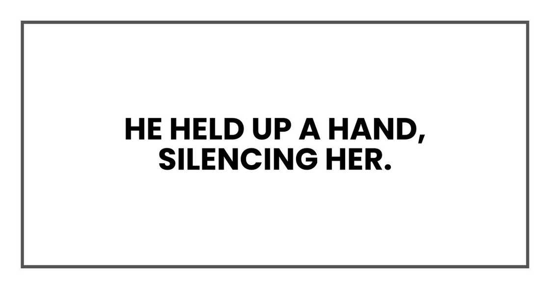 He held up a hand, silencing her.