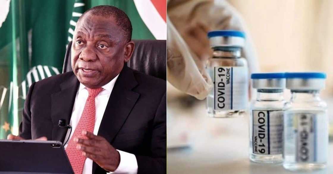 Survey finds Saffas would rather go to lockdown 5 than get vaccinated Survey finds Saffas would rather go to lockdown 5 than get vaccinated