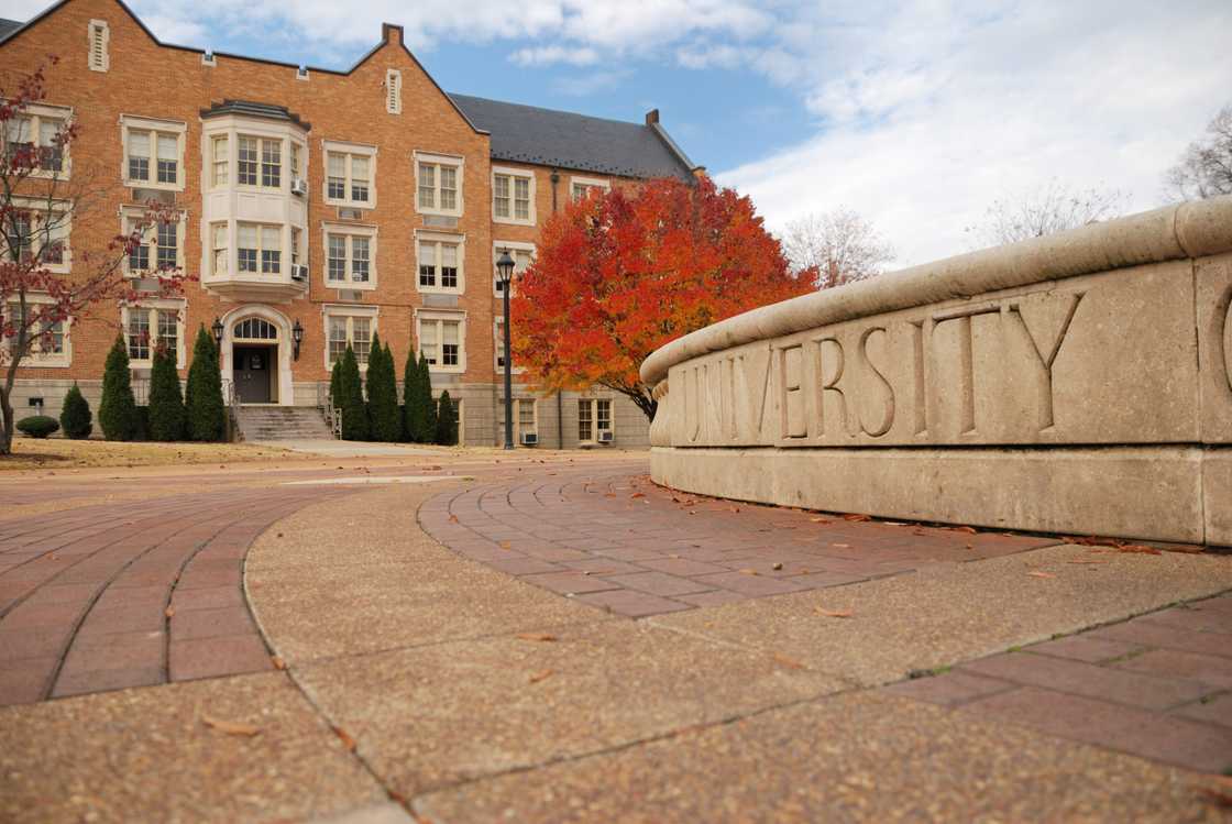 Man's university study tips were a viral hit Man's university study tips were a viral hit
