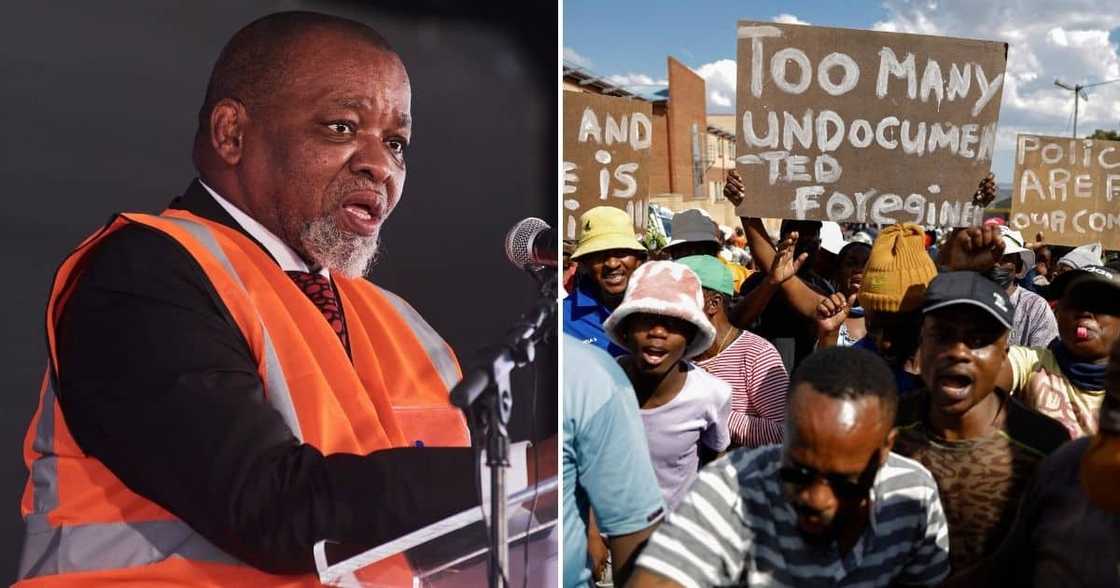 Gwede Mantashe, crime, nationality, Minister of Energy, ANC, Zimbabwe, criminals Gwede Mantashe, crime, nationality, Minister of Energy, ANC, Zimbabwe, criminals