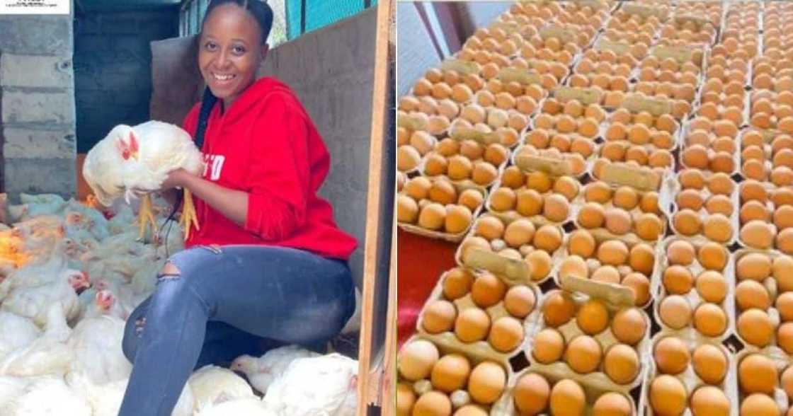 Mzansi, Celebrate, Young Female, Farmer, Sne Ngubane, Inspires