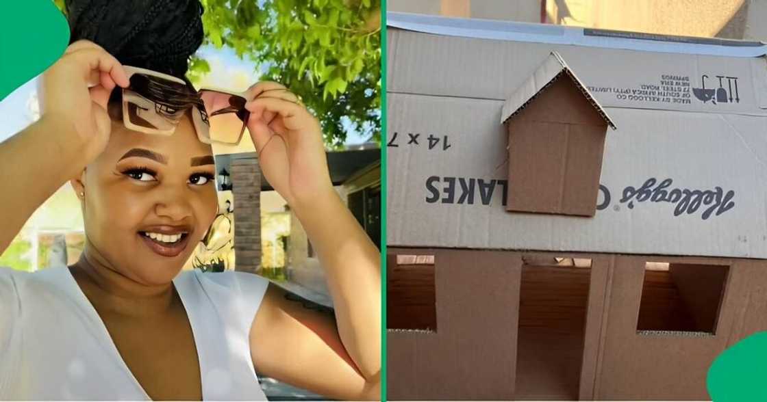 A TikTok video shows a woman unveiling her stunning cardboard dollhouses, which she created. A TikTok video shows a woman unveiling her stunning cardboard dollhouses, which she created.
