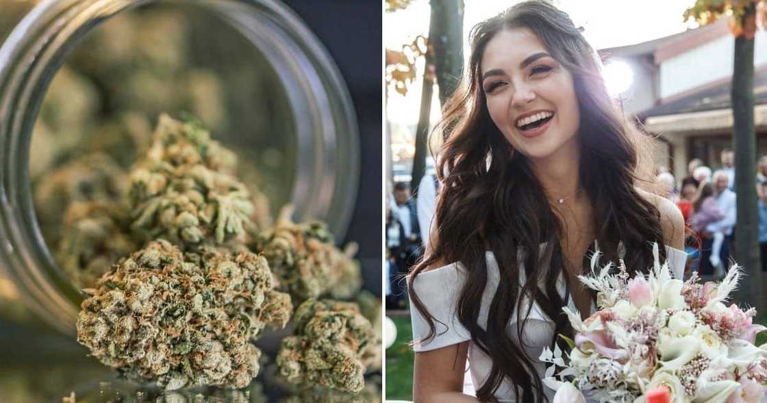 Bride, caterer arrested, lacing food, cannabis, Flordia Bride, caterer arrested, lacing food, cannabis, Flordia