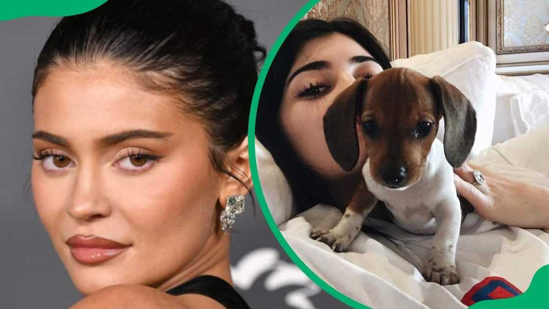 Kylie Jenner during the 2022 Baby2Baby Gala (L). The businesswoman with her dog, Penny (R) Kylie Jenner during the 2022 Baby2Baby Gala (L). The businesswoman with her dog, Penny (R)
