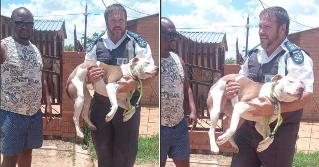 After handing over his pit bull to the SPCA, a man received some praise. After handing over his pit bull to the SPCA, a man received some praise.